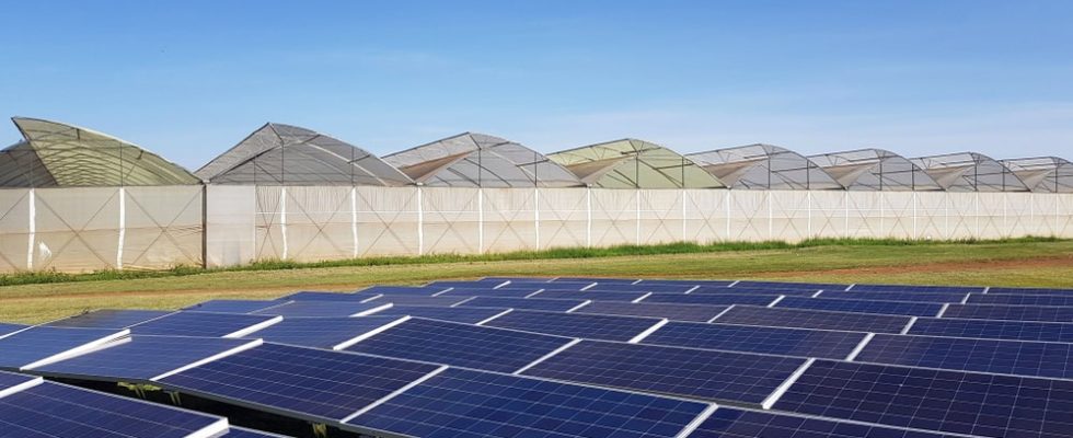avantages économiques des centrales solaires au sol